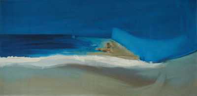 Aerial Shoreline