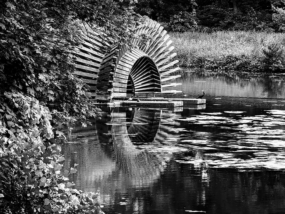 fsi-wheel-ducks